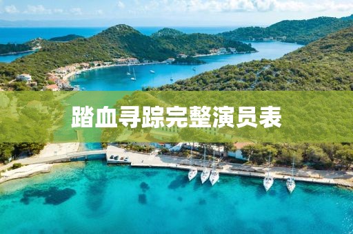 踏血寻踪完整演员表