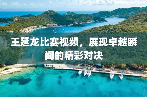 王延龙比赛视频，展现卓越瞬间的精彩对决