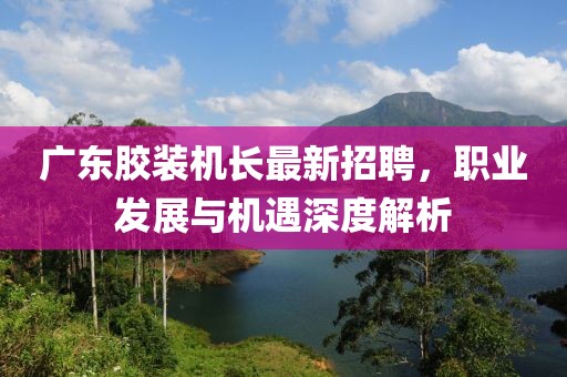 广东胶装机长最新招聘，职业发展与机遇深度解析