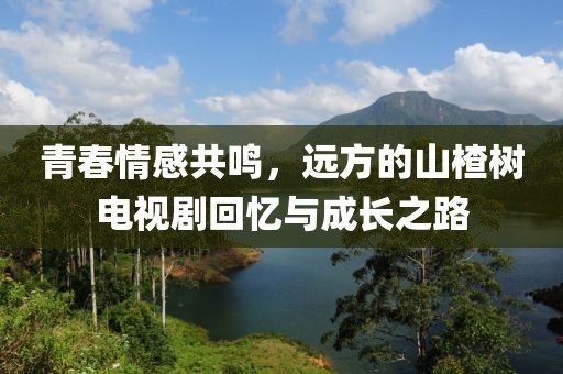 青春情感共鸣，远方的山楂树电视剧回忆与成长之路