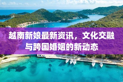 越南新娘最新资讯，文化交融与跨国婚姻的新动态