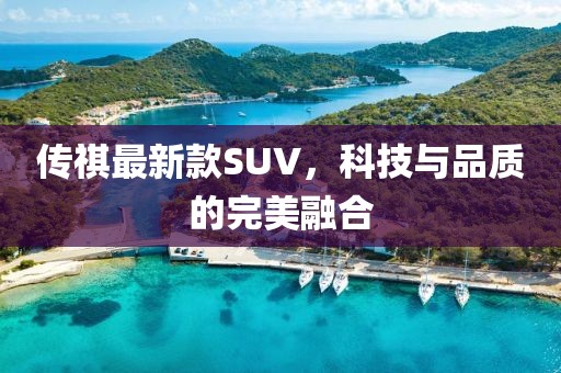 魚丸粗面