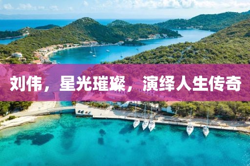刘伟，星光璀璨，演绎人生传奇