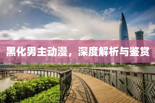 黑化男主动漫，深度解析与鉴赏