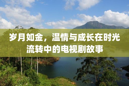 岁月如金，温情与成长在时光流转中的电视剧故事