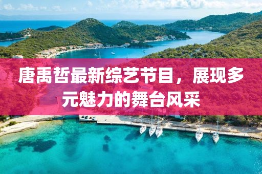 唐禹哲最新综艺节目，展现多元魅力的舞台风采