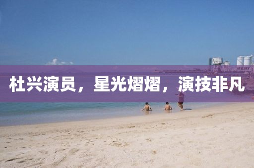 杜兴演员，星光熠熠，演技非凡
