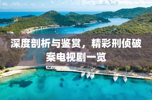 深度剖析与鉴赏，精彩刑侦破案电视剧一览