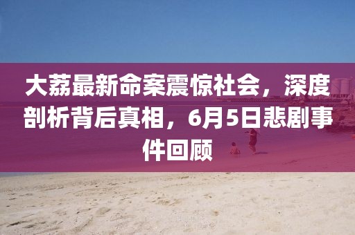 大荔最新命案震惊社会，深度剖析背后真相，6月5日悲剧事件回顾