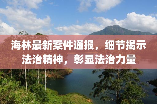 海林最新案件通报，细节揭示法治精神，彰显法治力量