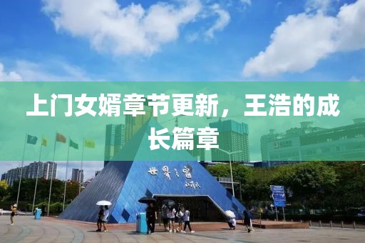 上门女婿章节更新，王浩的成长篇章