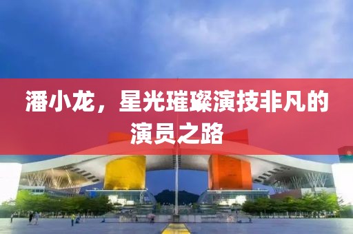 潘小龙，星光璀璨演技非凡的演员之路