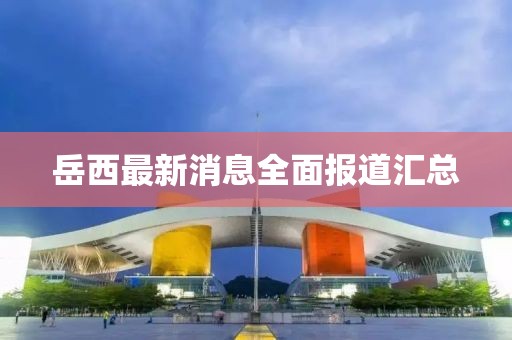 岳西最新消息全面报道汇总