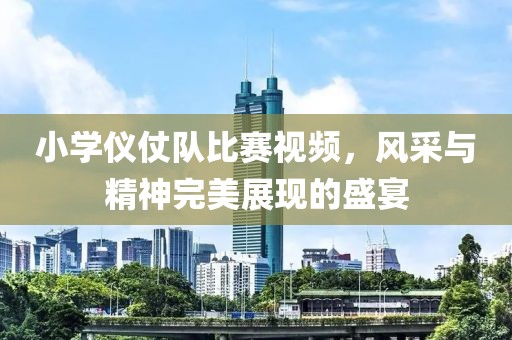 小学仪仗队比赛视频，风采与精神完美展现的盛宴