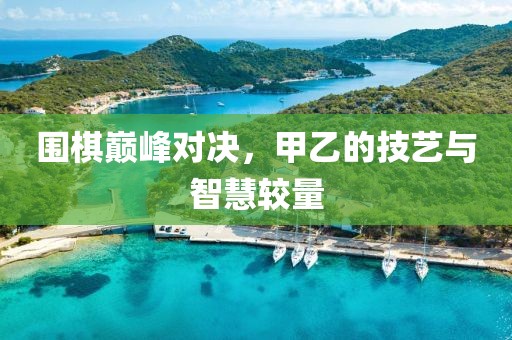 围棋巅峰对决，甲乙的技艺与智慧较量