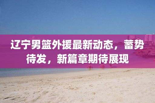 辽宁男篮外援最新动态，蓄势待发，新篇章期待展现