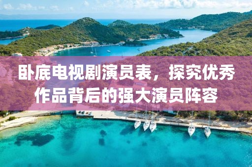 卧底电视剧演员表，探究优秀作品背后的强大演员阵容