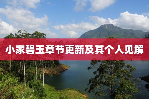 小家碧玉章节更新及其个人见解