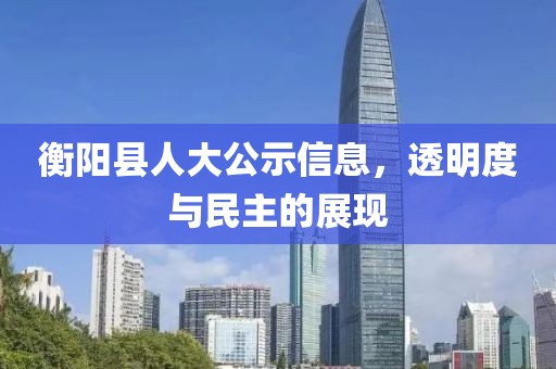 衡阳县人大公示信息，透明度与民主的展现