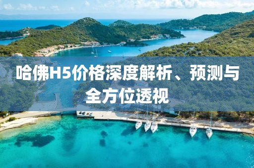 哈佛H5价格深度解析、预测与全方位透视
