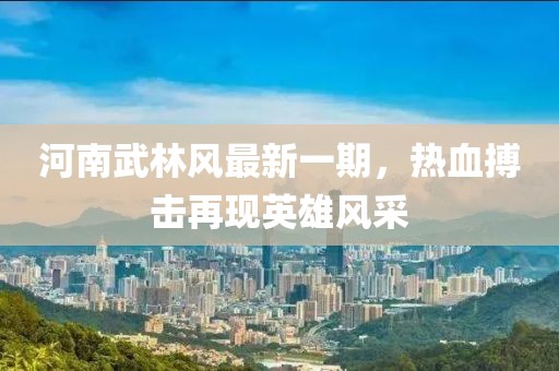 河南武林风最新一期，热血搏击再现英雄风采