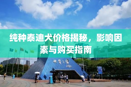 纯种泰迪犬价格揭秘，影响因素与购买指南