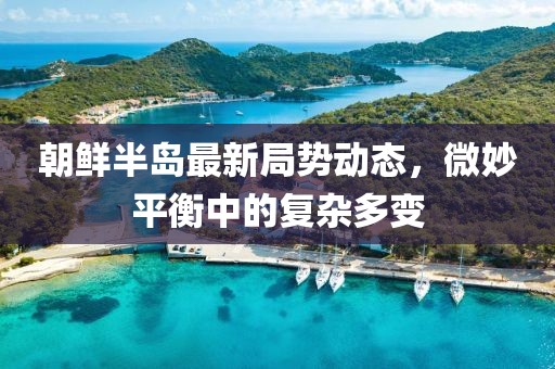 朝鲜半岛最新局势动态，微妙平衡中的复杂多变