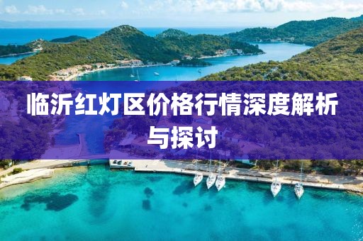临沂红灯区价格行情深度解析与探讨