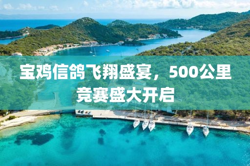 宝鸡信鸽飞翔盛宴，500公里竞赛盛大开启