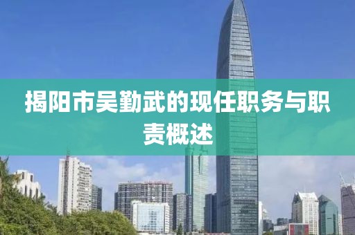 揭阳市吴勤武的现任职务与职责概述