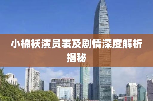 小棉袄演员表及剧情深度解析揭秘