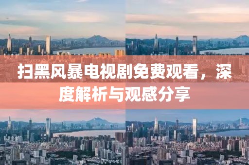 扫黑风暴电视剧免费观看，深度解析与观感分享