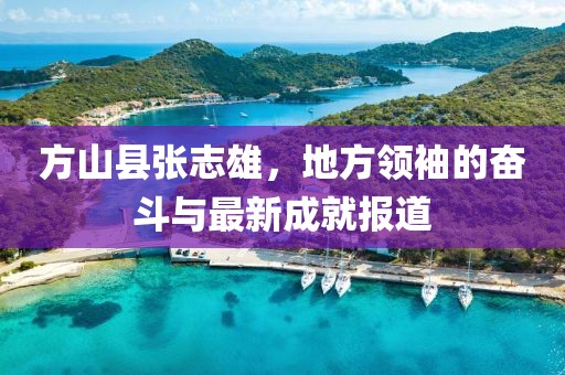 方山县张志雄，地方领袖的奋斗与最新成就报道