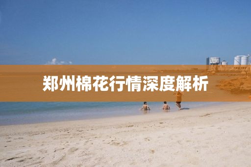 郑州棉花行情深度解析
