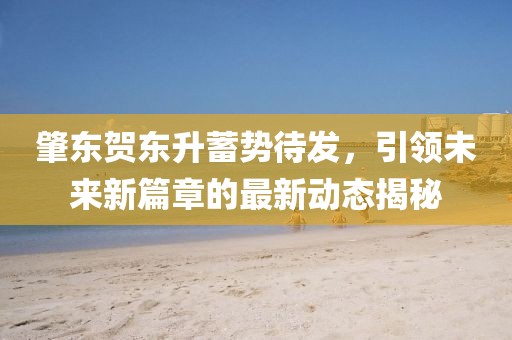 肇东贺东升蓄势待发，引领未来新篇章的最新动态揭秘
