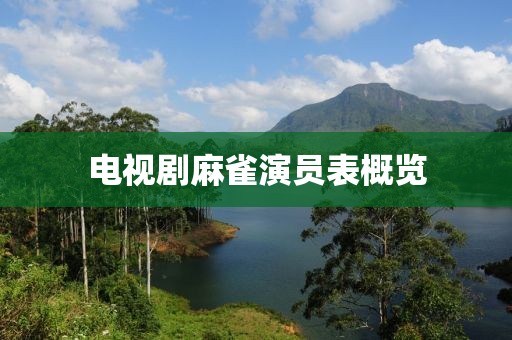 电视剧麻雀演员表概览