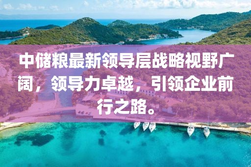 中储粮最新领导层战略视野广阔，领导力卓越，引领企业前行之路。