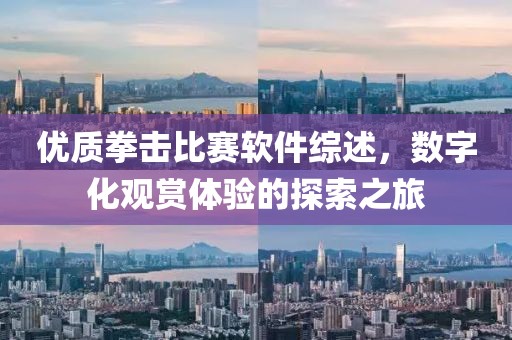 优质拳击比赛软件综述，数字化观赏体验的探索之旅