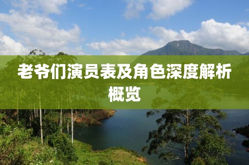老爷们演员表及角色深度解析概览