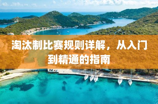 淘汰制比赛规则详解，从入门到精通的指南