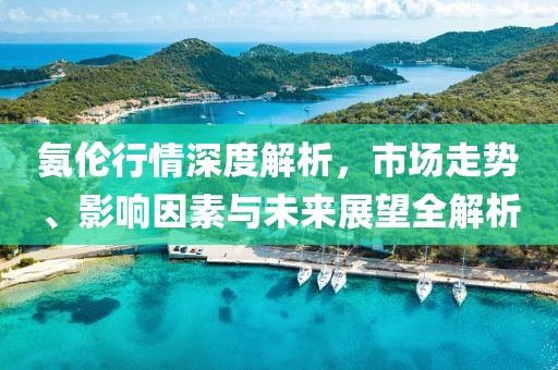 氨伦行情深度解析，市场走势、影响因素与未来展望全解析