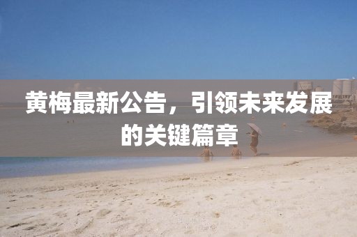 黄梅最新公告，引领未来发展的关键篇章