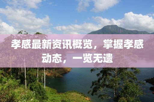 孝感最新资讯概览，掌握孝感动态，一览无遗