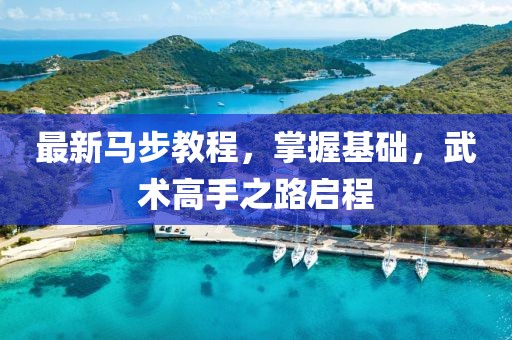 最新马步教程，掌握基础，武术高手之路启程