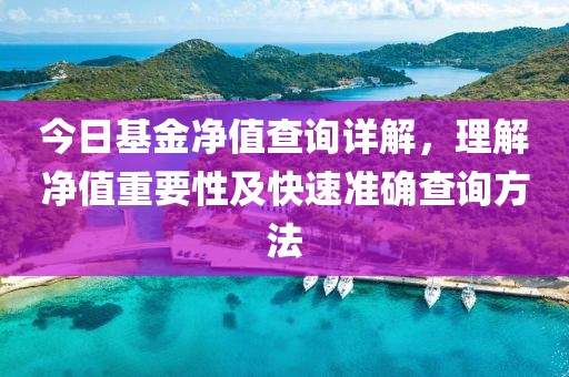 今日基金净值查询详解，理解净值重要性及快速准确查询方法
