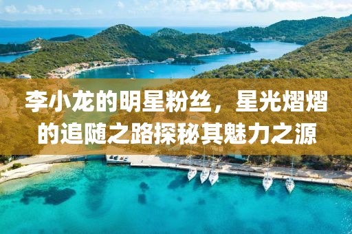 李小龙的明星粉丝，星光熠熠的追随之路探秘其魅力之源