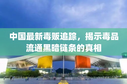 中国最新毒贩追踪，揭示毒品流通黑暗链条的真相