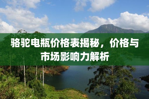 骆驼电瓶价格表揭秘，价格与市场影响力解析