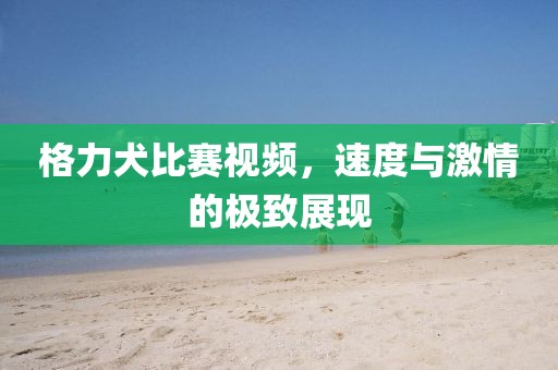 格力犬比赛视频，速度与激情的极致展现