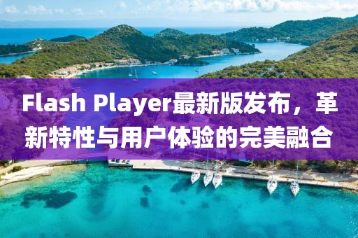 Flash Player最新版发布，革新特性与用户体验的完美融合